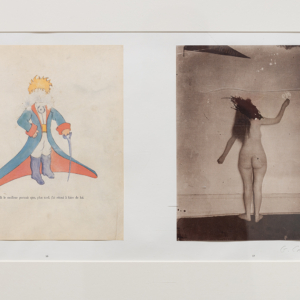 Geneviève Cadieux, La blessure, 1988
