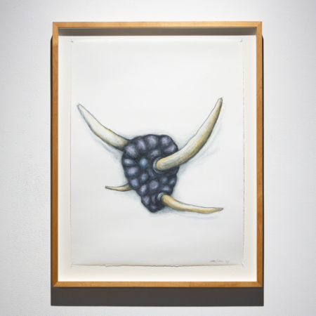 David Liss, Sans titre, 1998
